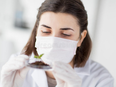 密切科学家与植物和土壤在实验室