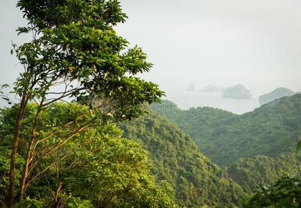 网站 卡巴 哈龙 钓鱼 亚洲 目的地 自然 南方 风景 紫色