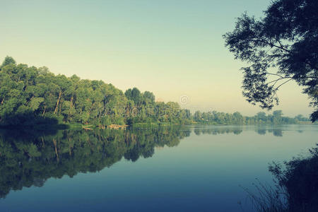 美丽的夏季景观