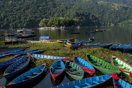 博卡拉湖景