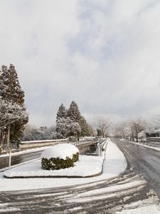 街上的雪