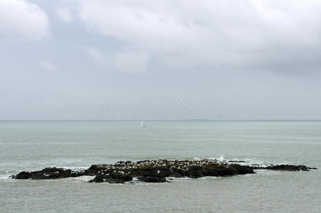 布列塔尼 旅行 欧洲 海岸 海洋 旅游业 风景 大西洋