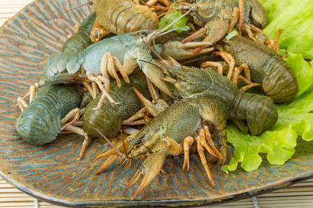 晶状动物生小龙虾照片