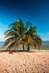 热带岛屿上的海滩。 清澈的蓝色水，沙子