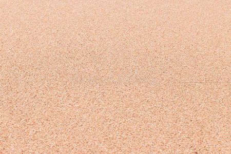 复制空间 米色 空的 海岸 特写镜头 海滩 自然 沙漠 粮食