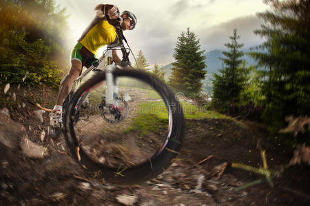 铁人三项 自行车 活动 健身 广告 小山 下坡 森林 操纵
