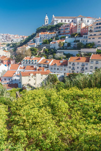 全景图 物件 建筑 葡萄牙语 文化 小山 风景 葡萄牙 欧洲