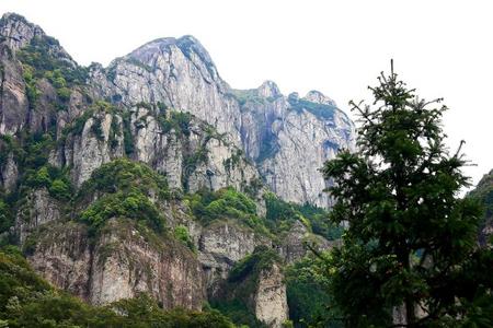 雕塑 公园 全景 危险 场景 高的 亚洲 森林 中国人 美丽的