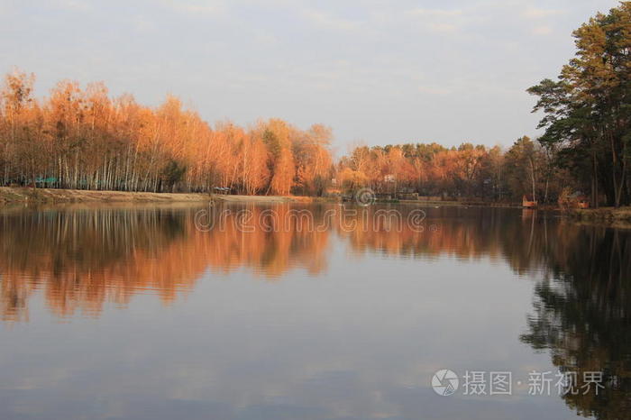 反射 乌克兰 风景 日落 十一月 秋天 美丽的 拉夫 自然