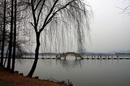 历史 运河 佛陀 风景 佛教 建筑 佛教徒 狮子 古老的