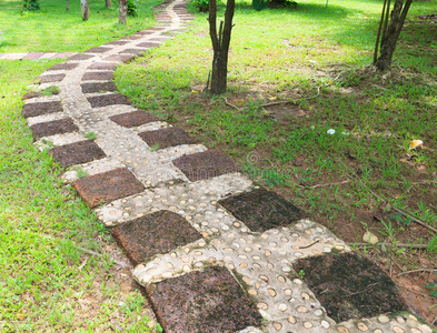 走道 步行 路面 房子 车道 风景 领域 草坪 通路 人行道