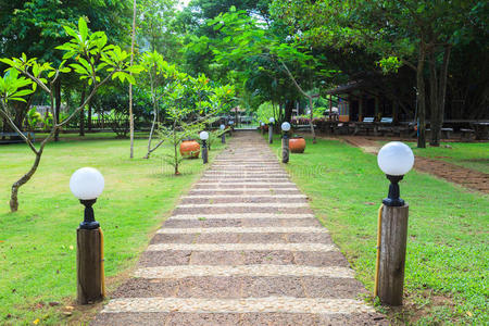 步行 车道 领域 通路 路面 房子 风景 草坪 走道 村庄