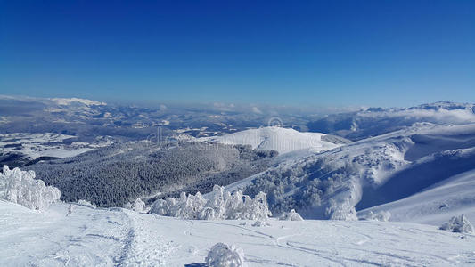 移动 欧洲 滑雪 假日 阿尔卑斯山 自由 假期 滑雪板 运动