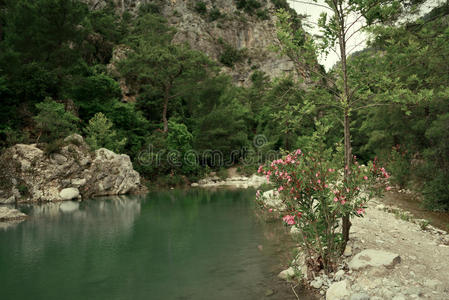 山中的湖泊