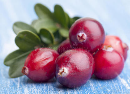 甜点 草药 秋天 明亮 小红莓 形象 颜色 医学 浆果 树叶
