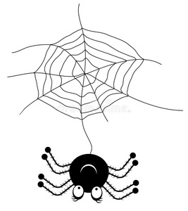 有蜘蛛网的黑色蜘蛛