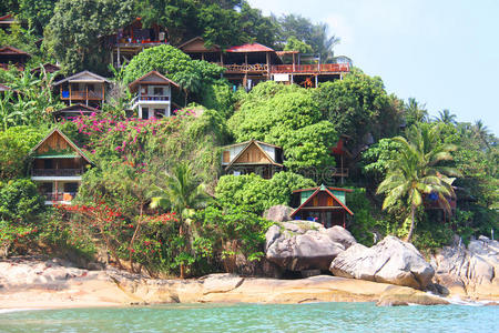 天堂 植物 棕榈 屋顶 泻湖 小山 美丽的 放松 海岸 建筑