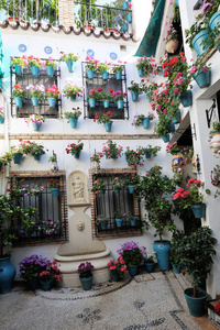 西班牙科尔多瓦，花装饰的庭院