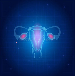 生育能力 周期 胚珠 生物技术 解剖 正常的 子宫内膜 器官