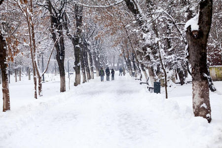 公园里的雪景有人经过