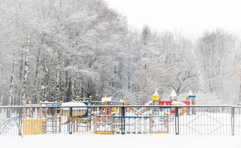 儿童 降雪 自然 云杉 操场 冬天 分支 梯子 天气 季节