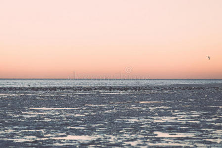 熔化 气候 粉红色 寒冷的 图里 泻湖 自然 天空 海滩