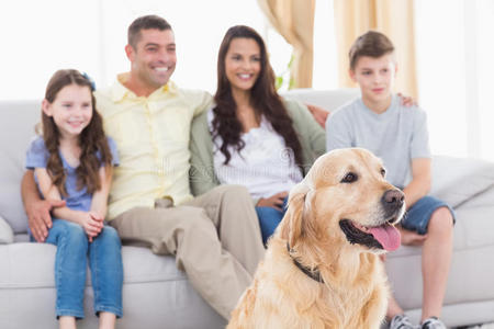家人和狗一起看电视