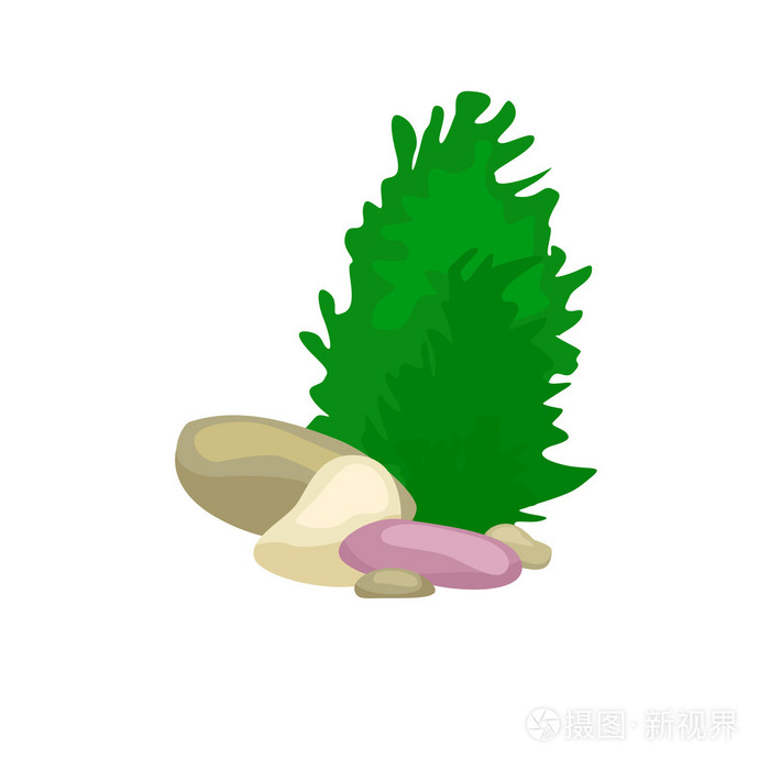 海藻 孤立五颜六色的珊瑚和藻类 矢量海底植物动物插画 正版商用图片1o51gs 摄图新视界 海藻 孤立五颜六色的珊瑚和藻类 矢量海底植物动物插画 正版商用图片1o51gs 摄图新视界