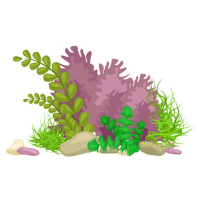 海藻, 孤立五颜六色的珊瑚和藻类,矢量海底植物动物照片