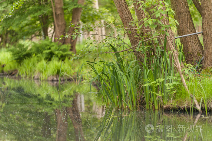 spreewald 在春天