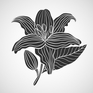 百合花logo图片大全