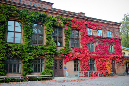 老建筑在瑞典隆德大学校园图片