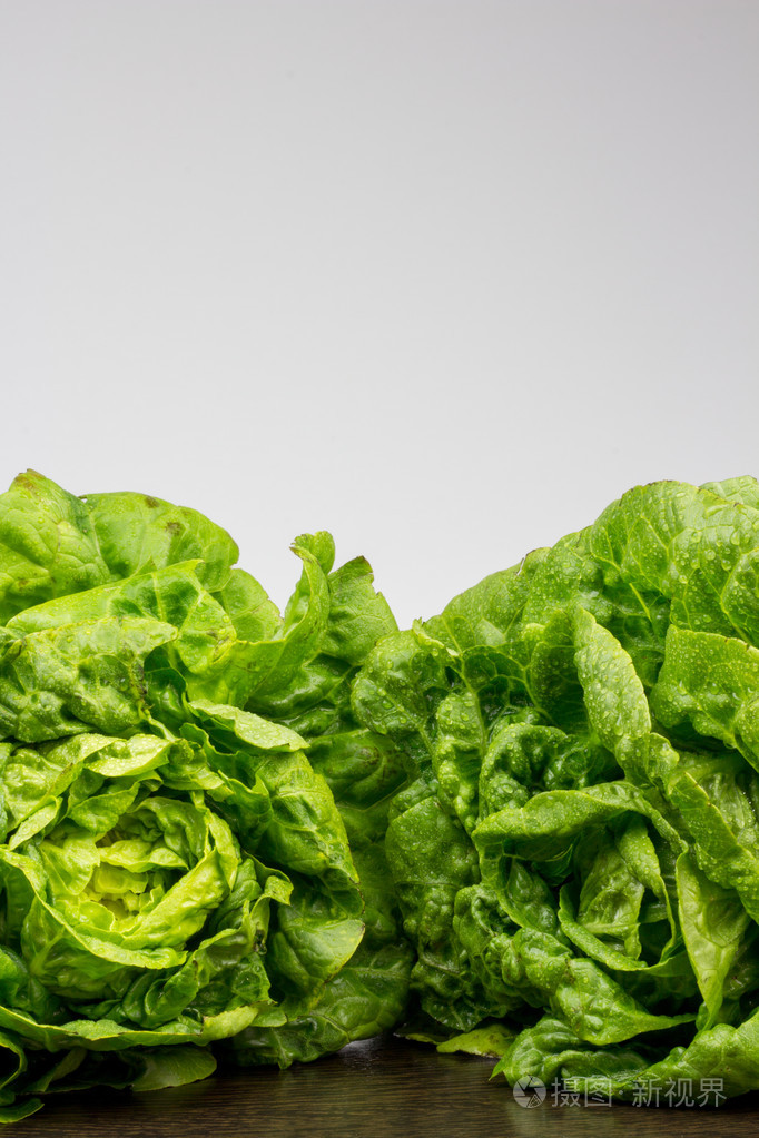 新鲜绿色莴苣叶