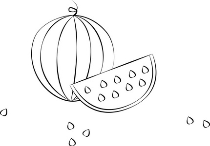 西瓜水果切片与种子插画
