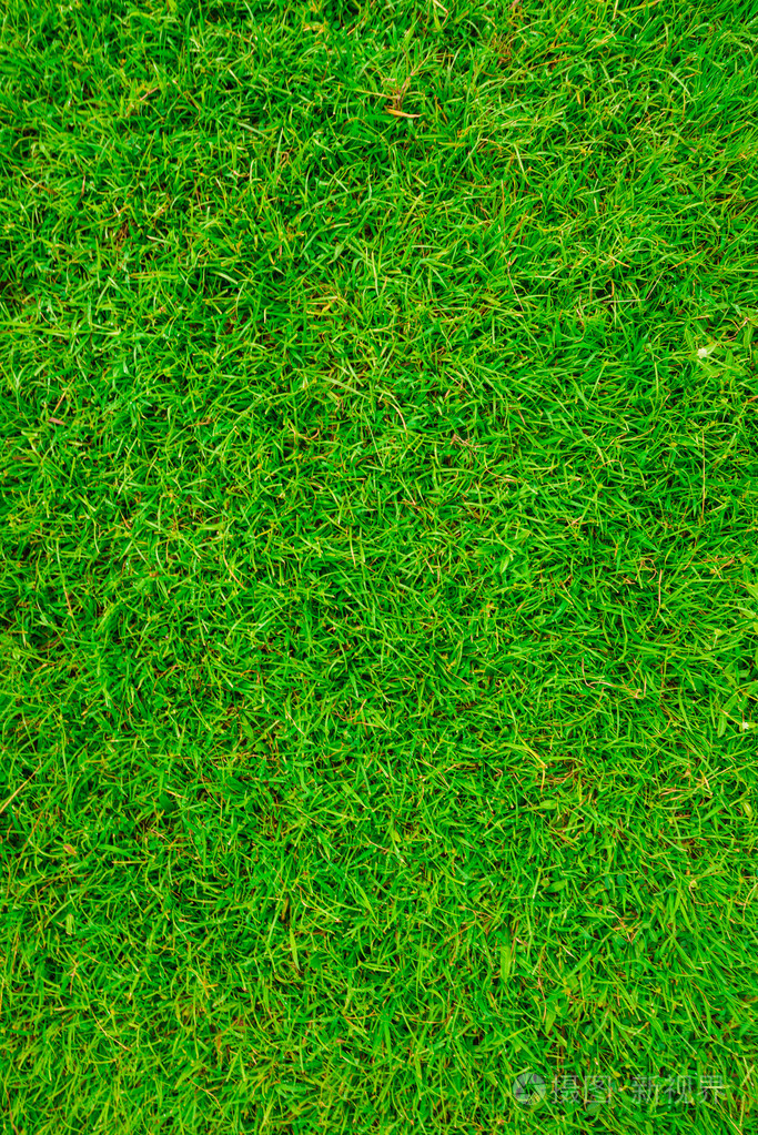 绿草背景绿草对象