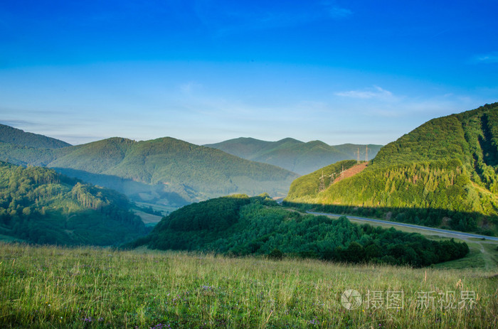 山夏日风景.树在草甸和森林在小山附近