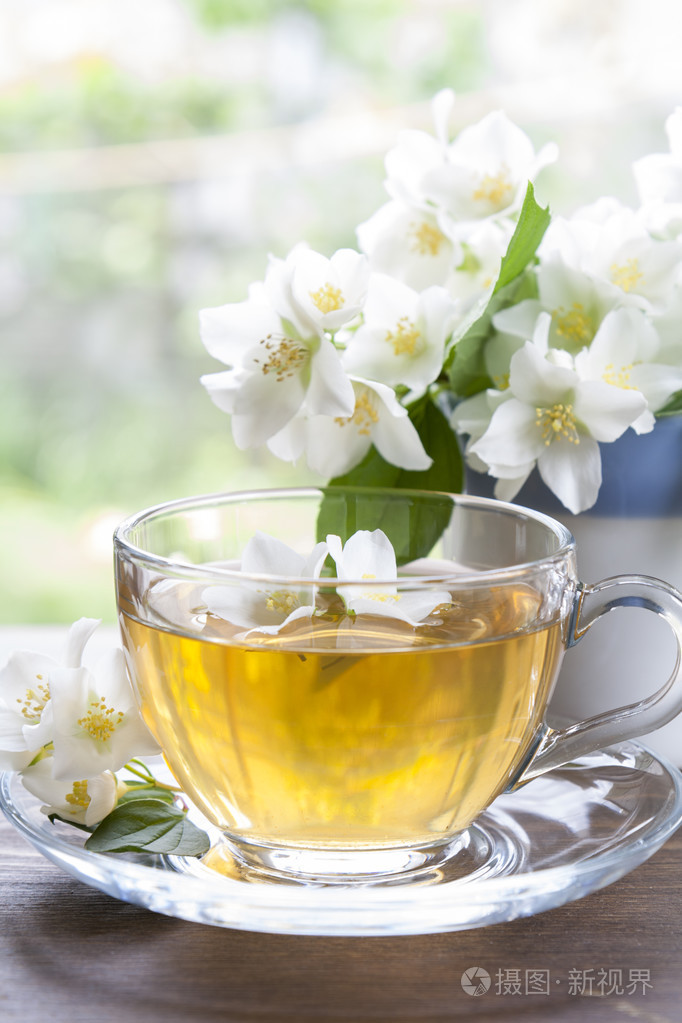 杯茶茉莉花和盛开的茉莉花分公司