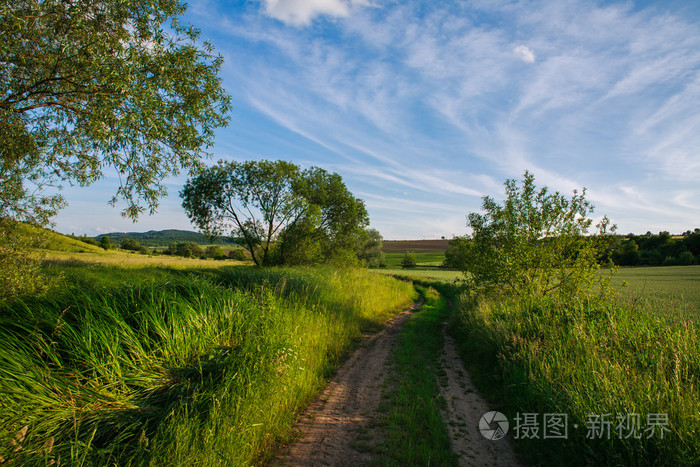 农村公路在早晨的天空背景上的绿色字段