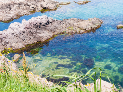 黑海海岸线上的岩石图片