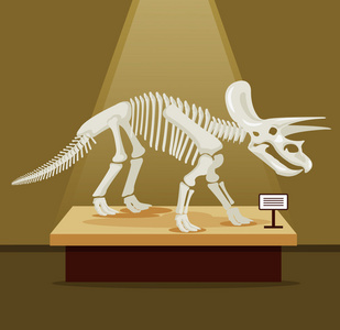 三角恐龙骨骼骨架在博物馆展览.矢量平面卡通插画.恐龙博物馆照片