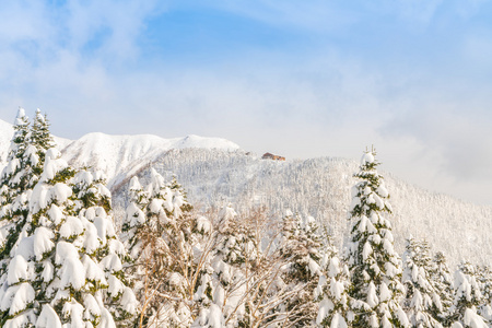 日本冬季山与雪覆盖图片