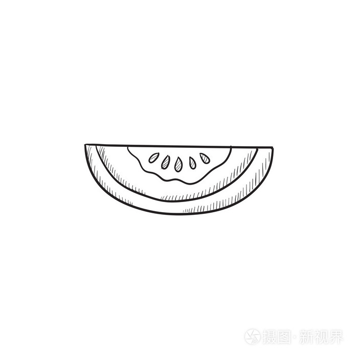 甜瓜素描图标