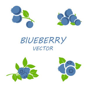 蓝莓符号图案大全图片
