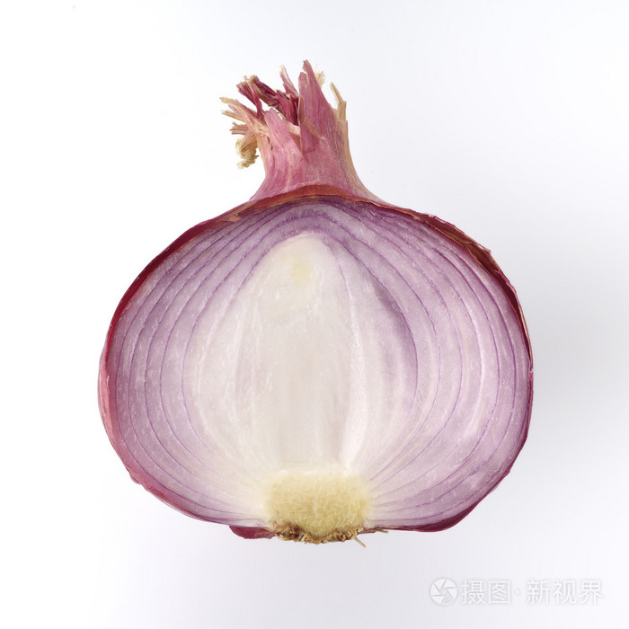 截面的红洋葱