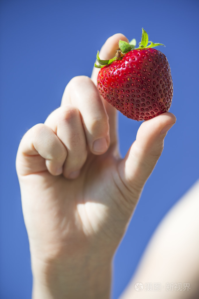 大标本的年轻漂亮的女人手指之间的草莓