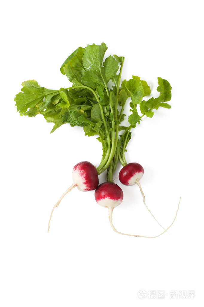 新鲜萝卜叶