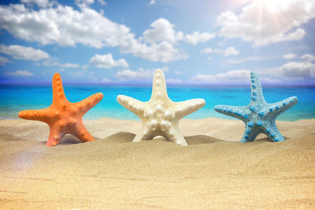 夏季背景与海星和配件在沙滩上照片