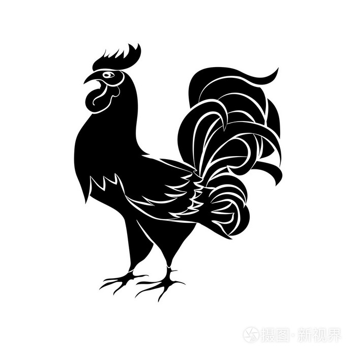 公鸡的黑色剪影