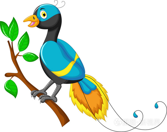 你设计的可爱天堂鸟卡通