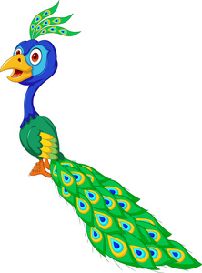 可爱的孔雀图片